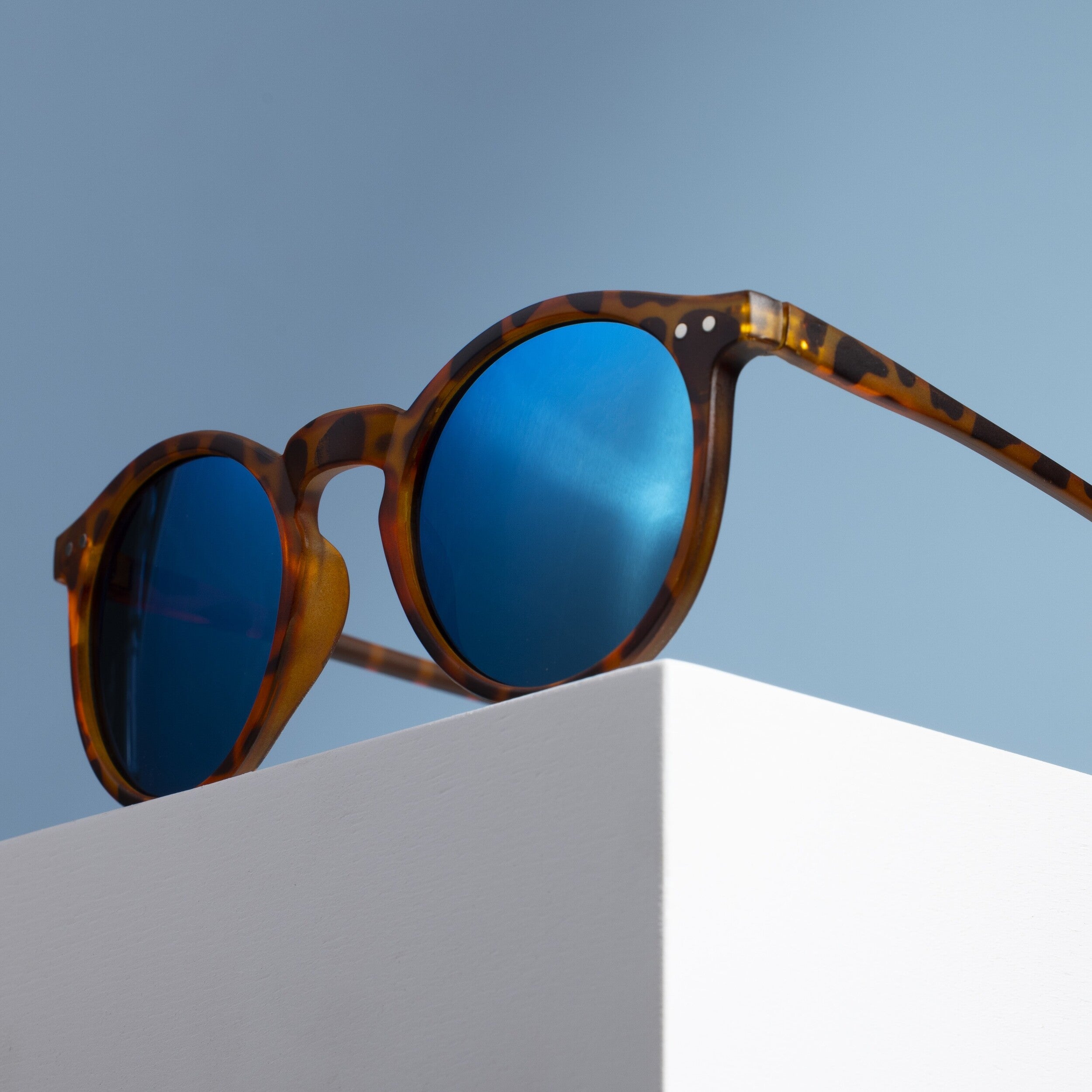 Azure Horizon // Tortoise Shell Pantos Sunglasses